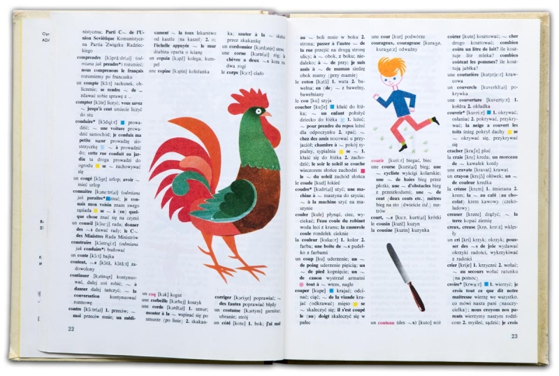 Ilustrowany słownik dla dzieci