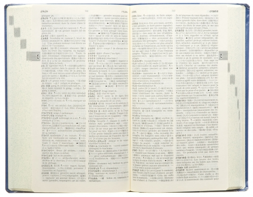 słownik japońsko-francuski