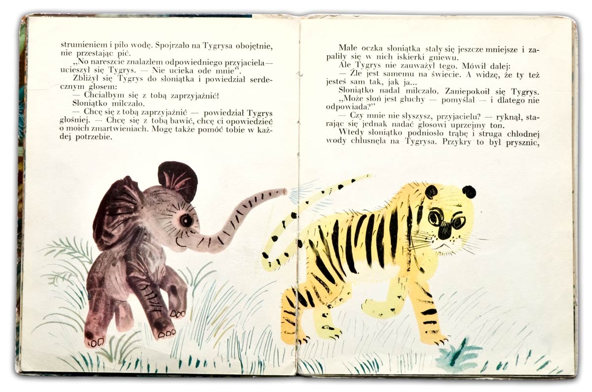 Tygrys o złotym sercu | Czesław Janczarski